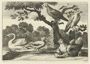 Swan, hen with chicks and other birds, Pieter van Lisebetten, Wenceslaus Hollar, Francis Barlow,