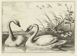 Two swans, Pieter van Lisebetten, Wenceslaus Hollar, Francis Barlow, 1654 - 1678