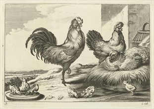 Chicken, roosters and chicks, Pieter van Lisebetten, Wenceslaus Hollar, Francis Barlow, 1654-1678