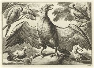 Eagle, Pieter van Lisebetten, Wenceslaus Hollar, Francis Barlow, 1654-1678