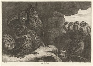 Owls in a cave, Gérard Scotin (I), Lodewijk XIV (koning van Frankrijk), 1670 - 1674