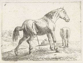 A horse, Jan van Aken, Jochem Bormeester, 1624 - 1661