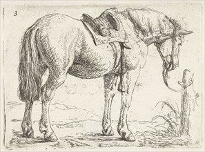 Horse with saddle, Jan van Aken, Jochem Bormeester, 1624 - 1661