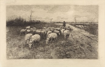 Shepherd with flock of sheep, Elias Stark, 1889