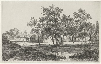 Landscape with farm among the trees, Christiaan Immerzeel, 1818 - 1886
