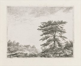Tree in a moorland, print maker: Christiaan Wilhelmus Moorrees, 1811 - 1867