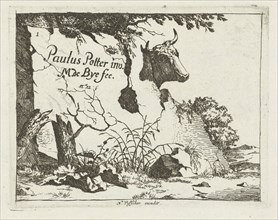 Cup of an ox behind a rock, Marcus de Bye, Nicolaes Visscher I, 1657 - c. 1677