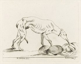 Eating dog, D. Merrem, 1700 - 1800