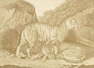 Two tigers in a landscape, Isaac van Haastert, c. 1768 - 1834