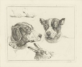 Study Sheet with two dog heads, paws dog and head of hare, Jan Dasveldt, 1780 - 1855