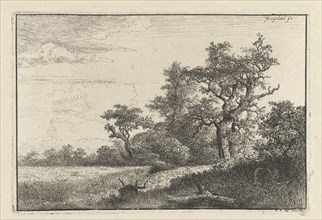 The cornfield, Jacob Isaacksz. van Ruisdael, 1648 - 1679