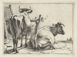 Two cows seen from behind, print maker: Paulus Potter, Paulus Potter, Frederik de Wit possibly,