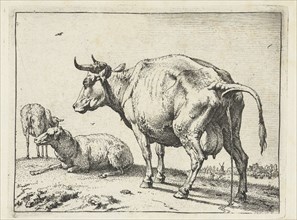 A cow, Paulus Potter, 1650