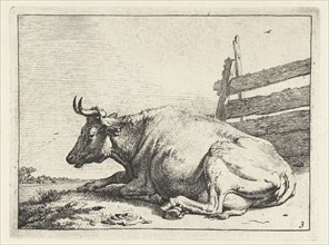 Lying cow near a fence, Paulus Potter, 1650