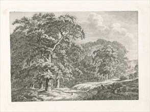 Landscape with tall trees, print maker: Franciscus Andreas Milatz, 1784 - 1808