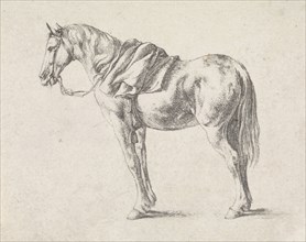 Saddled horse, Dirk Maas, Philips Wouwerman, 1708 - 1717