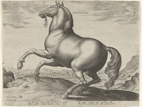 Horse from France, Gallicus, print maker: Hieronymus Wierix, Jan van der Straet, Philips Galle, c.