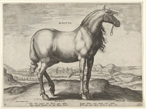 Horse from Greece (Achivus), Hieronymus Wierix, Philips Galle, c. 1583 - c. 1587