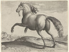 horse from Spain (Hispanus Alter), Hieronymus Wierix, Philips Galle, c. 1583 - c. 1587