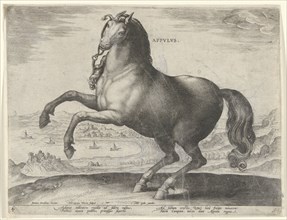 Horse from Southern Italy Appulus, Hieronymus Wierix, Philips Galle, c. 1583 - c. 1587