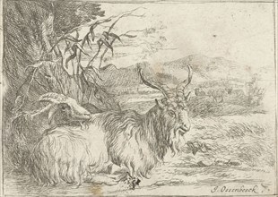 Goat under a tree, Jan van Ossenbeeck, Nicolaes Pietersz. Berchem, 1647 - 1674