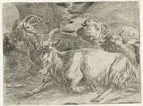 Two goats and two sheep, Jan van Ossenbeeck, 1647 - 1674