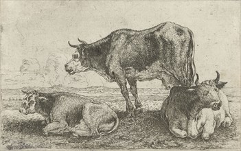 Three cows, Jan van den Hecke (I), 1656