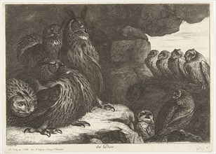 Owls in a cave, De Poilly, Louis XIV, King of France, 1670-1674