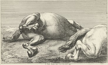 Two killed horses, Jan van Huchtenburg, Adam Frans van der Meulen, unknown, 1674 - 1733