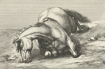Killed horse, Jan van Huchtenburg, Adam Frans van der Meulen, unknown, 1674 - 1733