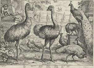 Various birds and a monkey, Jan Griffier (I), Pierce Tempest, 1655 - 1718