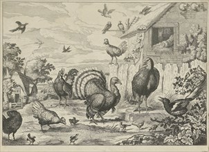 Different poultry and a turkey, Jan Griffier I, Francis Barlow, 1655 - 1718