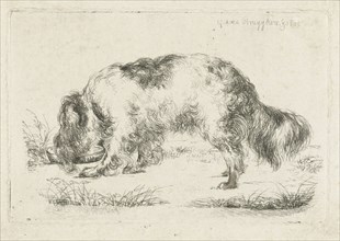 Drinking dog, Guillaume Anne van der Brugghen, 1832