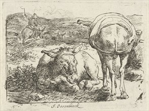 Two donkeys, print maker: Jan van Ossenbeeck, 1647 - 1674