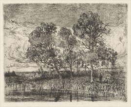 Three trees on a shore, Augustinus Jacobus Bernardus Wouters, 1839 - 1904