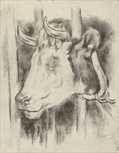 Head of a cow, print maker: Gijsbertus Craeyvanger, 1836
