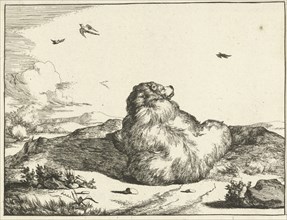 Bear, Marcus de Bye, Marcus Gerards I 1664