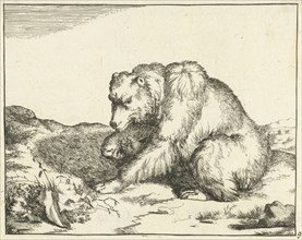 Sitting Bear, and profil, print maker: Marcus de Bye, Marcus Gerards I, 1664
