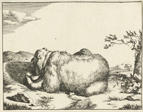Reclining bear, from behind, drinking from bowl, Marcus de Bye, Marcus Gerards (I), 166 - 1664
