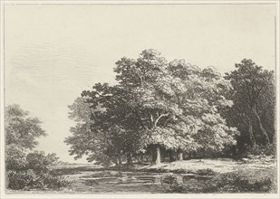 Trees on the water, Remigius Adrianus Haanen, c. 1827 - 1888