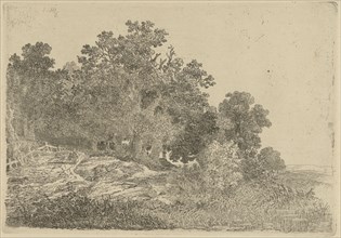 Forest view, Remigius Adrianus Haanen, c. 1827 - 1888