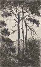 Three trees in a landscape, Arnoud Schaepkens, 1831 - 1904