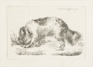 Drinking dog, Guillaume Anne van der Brugghen, 1832