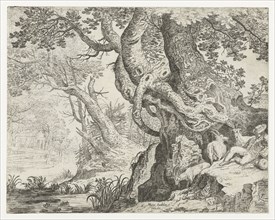 Sleeping Shepherd near a big tree, Roelandt Savery, Marcus Christoph Sadeler, 1624 - 1639