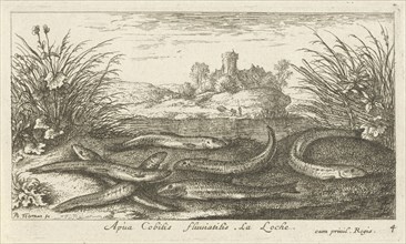 Loaches on a river bank, Albert Flamen, 1664