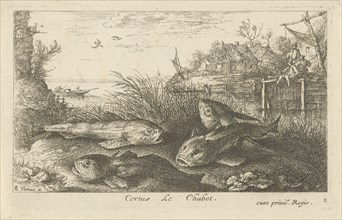 Chub, Squalius cephalus on a riverbank, print maker: Albert Flamen, Jacques van Merlen, 1664