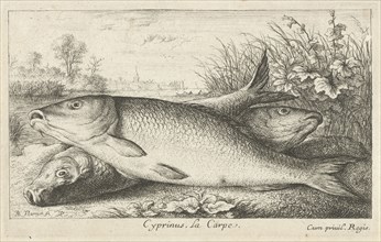 Three carp on a riverbank, Albert Flamen, Jacques van Merlen, Louis XIV King of France, 1664