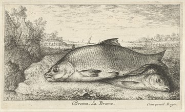 Two bream on a riverbank, Albert Flamen, Jacques van Merlen, Lodewijk XIV (koning van Frankrijk),