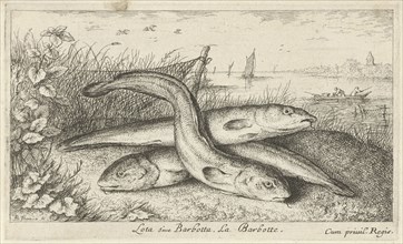 Three lobe eels on a riverbank, Albert Flamen, Jacques van Merlen, Louis XIV King of France, 1664