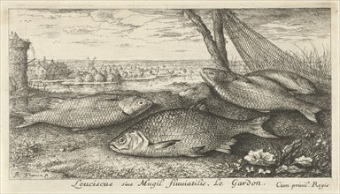 Four roaches and a fishing net, Albert Flamen, Jacques van Merlen, Louis XIV King of France, 1664